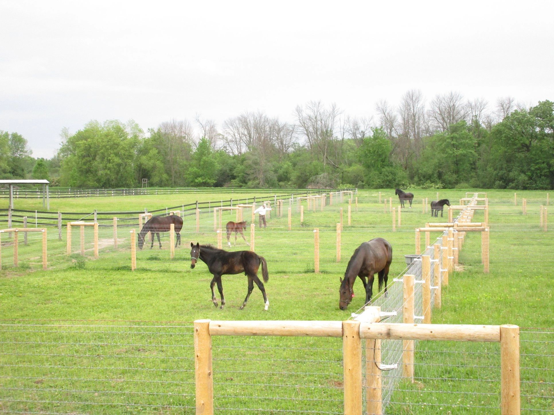 Thomas Horse LLC Fence Builder, Equestrian Fencing, Horse Fence